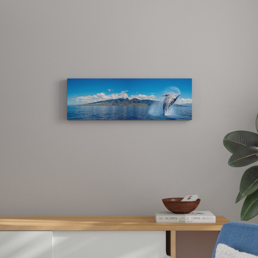 Breaching Humpback Whale by David Fleetham - Wrapped Canvas Photograph Print