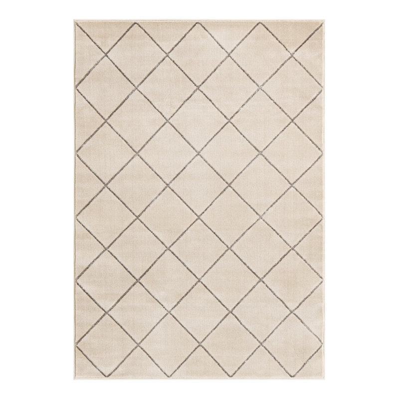 Latitude Run® Checks Novica Rug White and Silver, Rectangle 5'3" x 7'1"