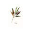 Wild Sage by Asia Jensen - Wrapped Canvas Painting-780646241