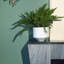 Handmade Ceramic Planter-426443253-426443254