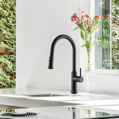 Nette Single-Handle Kitchen Faucet with Pull Down Sprayer 