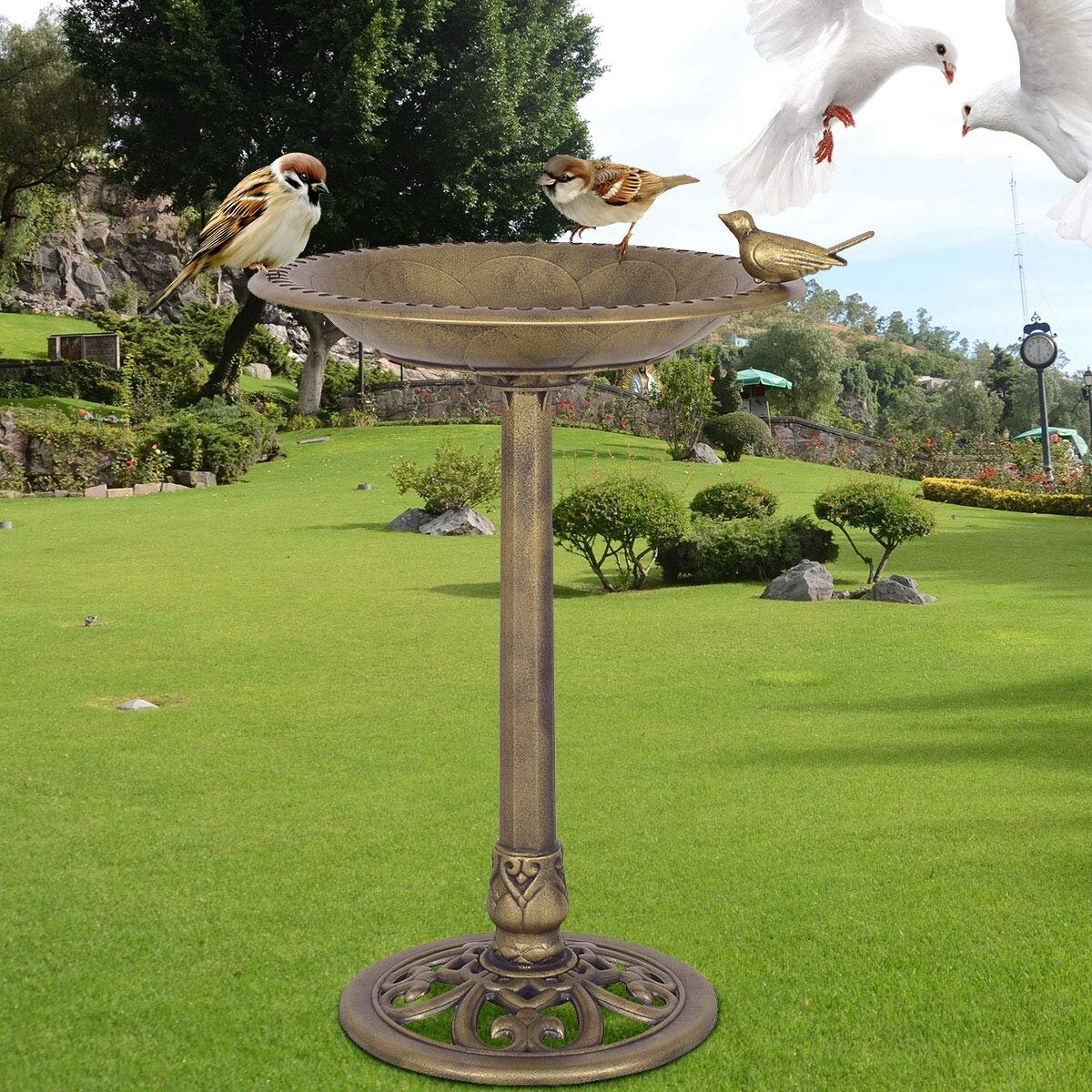 Alcott Hill Freestanding Resin Pedestal Birdbath | Wayfair