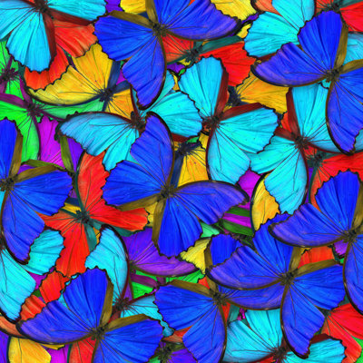 Papillons par Thawats