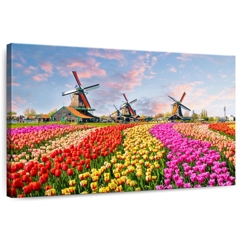 Tulipes et moulins à vent Alvord, H 24 po x l 36 po