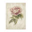 Art sur toile, boléro Cheri Blum-105629620