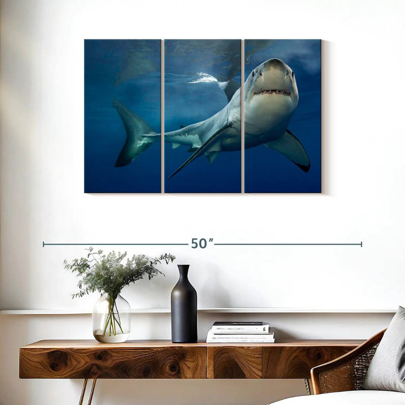 Brampt Shark Pursuit, H 24 po x l 38 po