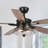 Gaspard 52'' Ceiling Fan with Light Kit