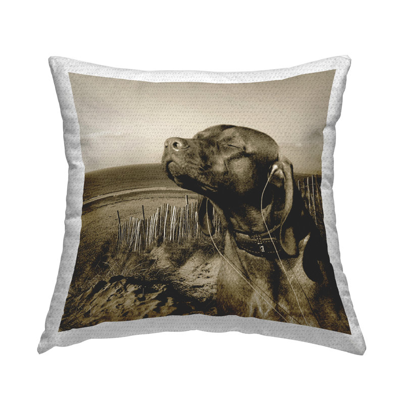 Coussin Relaxed Dog