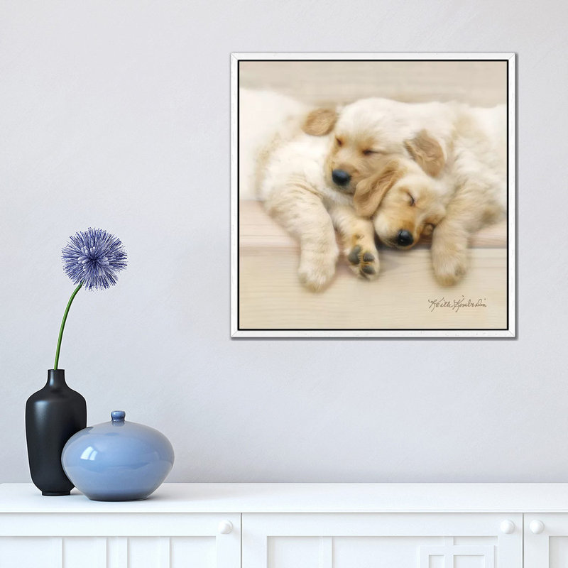 Nap Friends by Keith Kimberlin - Print on Canvas, White Framed, 45.72 cm H x 45.72 cm W