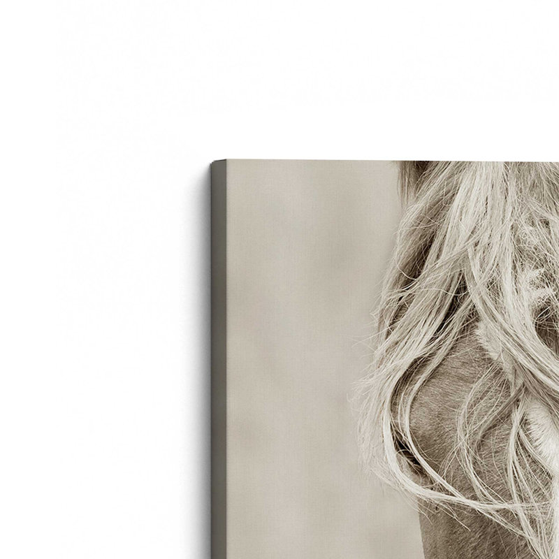 Gaceful Majesty, grande impression sur toile, H 36 po x l 54 po