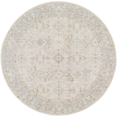 Oriental Indoor Rug