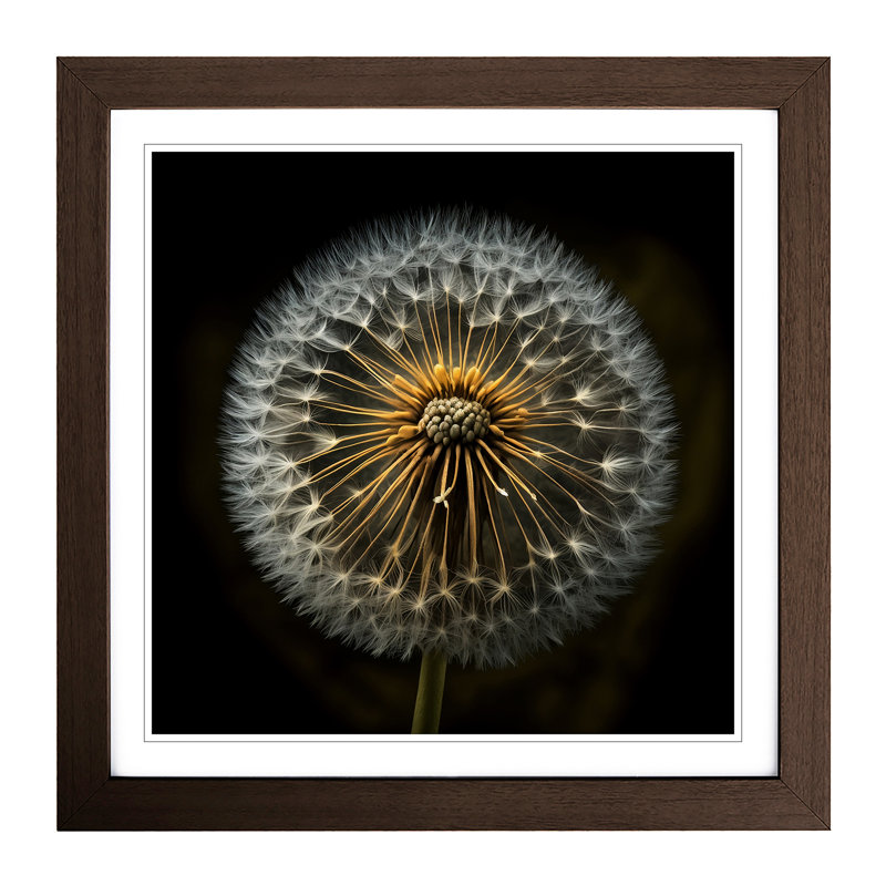 Dandelion Photograph No.1 - Single Picture Frame Print on Wood, Walnut
