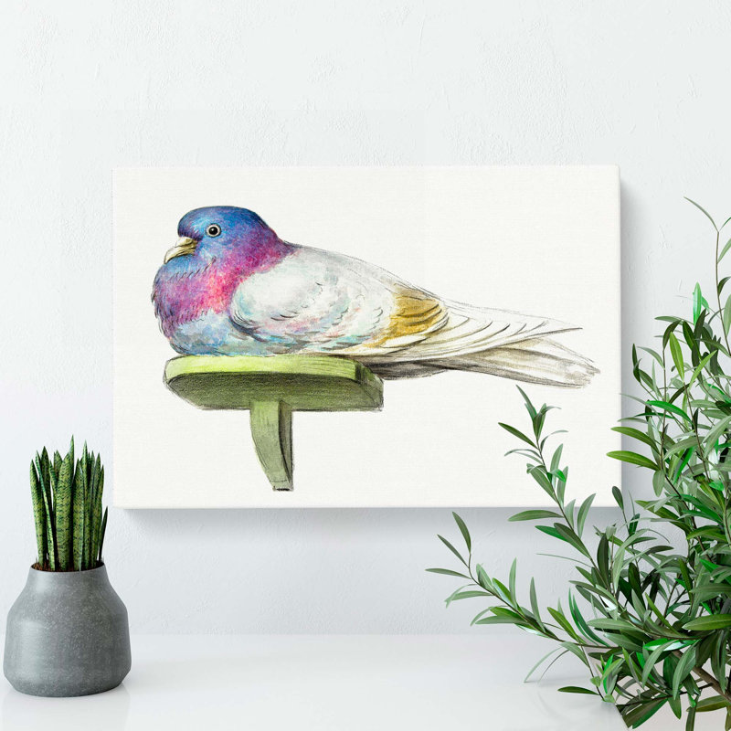 Pigeon by Jean Bernard - Wrapped Canvas, 40cm H x 60cm W x 3cm D