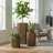 Hexagon Column Planter Md - Ash Brown-1746935184-1746935198