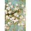 «White Cherry Blossom», reproduction sur toile-1843925756