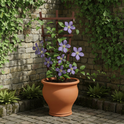 Bellied Planter  