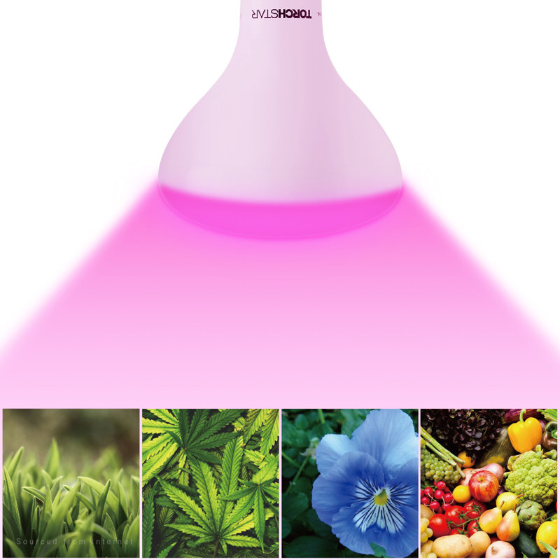 14W BR40 DEL élèvent des lumières pour les plantes d'intérieur, les plantes d'intérieur à spectre complet élèvent des lumières