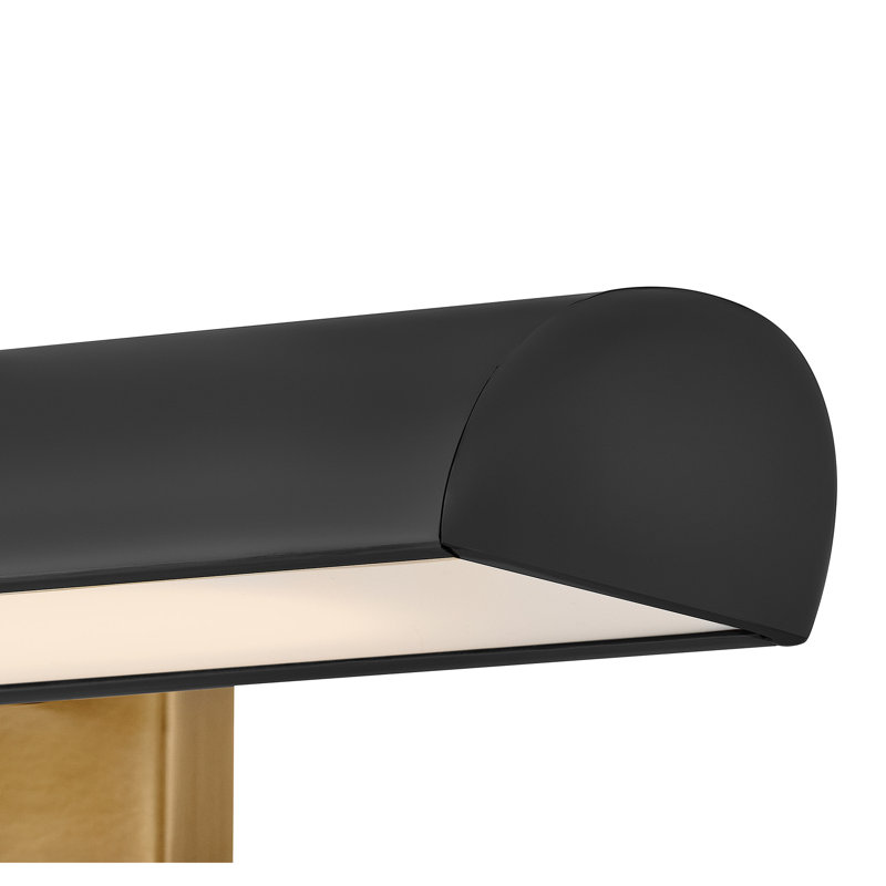 Hinkley Alston Medium Adjustable Led Accent Light, Black