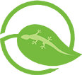 ECO GECKO Logo