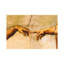 The Creation Of Adam, C.1510 by Michelangelo - Floater Frame Painting on Canvas-191889381-191889399