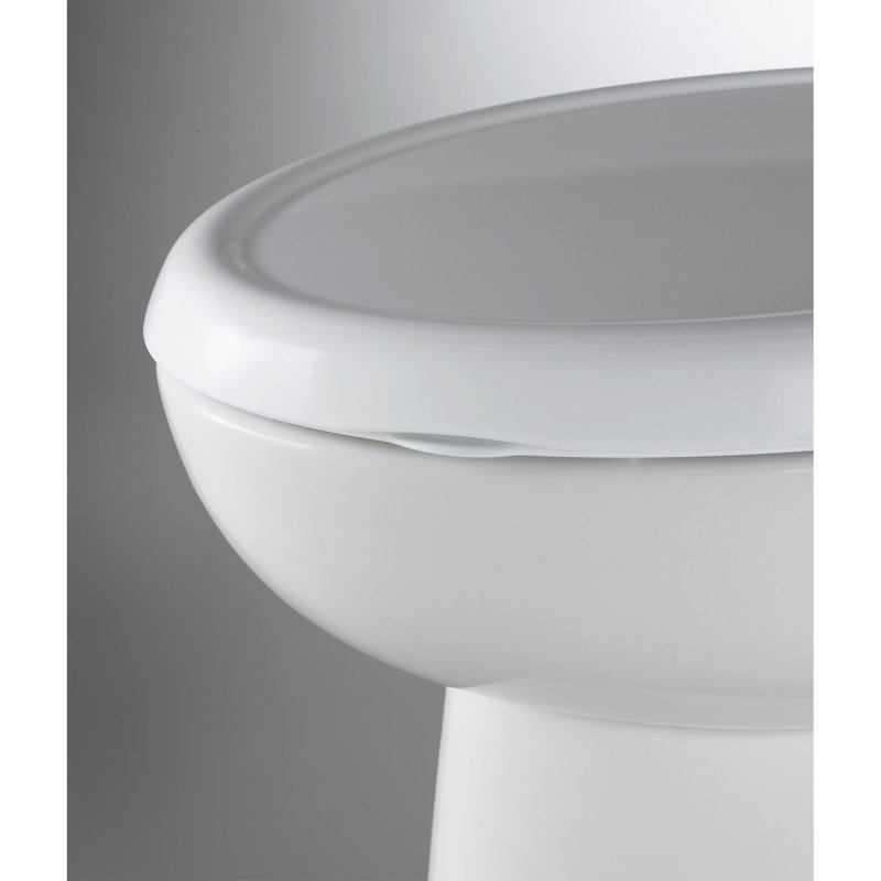 White Slow-Close Elongated Toilet Seat with Telescoping Lid