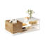 Coffee Table with Storage