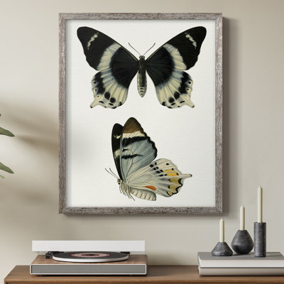 «Antique Blue Butterflies I», reproduction encadrée - bois massif
