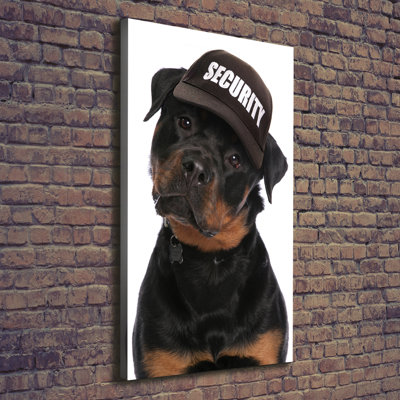 Rottweiler In A Hat - Wrapped Canvas Print