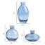Daryiah Glass Table Vase