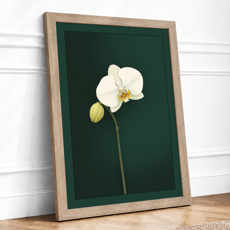 Orchid Study Botanical - Framed Print, Oak, A4 - 29.7 x 21.0 cm