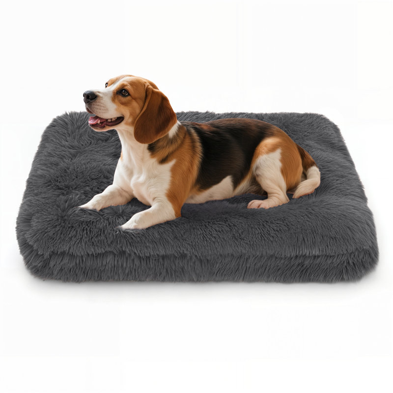 Coussin de siège pour animal de compagnie, Rose, Moyen (H 5,5 po x l 34,5 po x P 26 po)