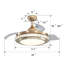 Ceiling Fan with LED Lights-20044653