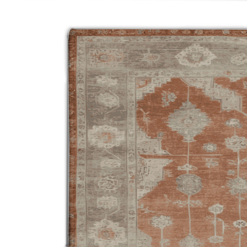Overdyed Gray Indoor and Outdoor Area Rug, Rectangle 2' x 3'