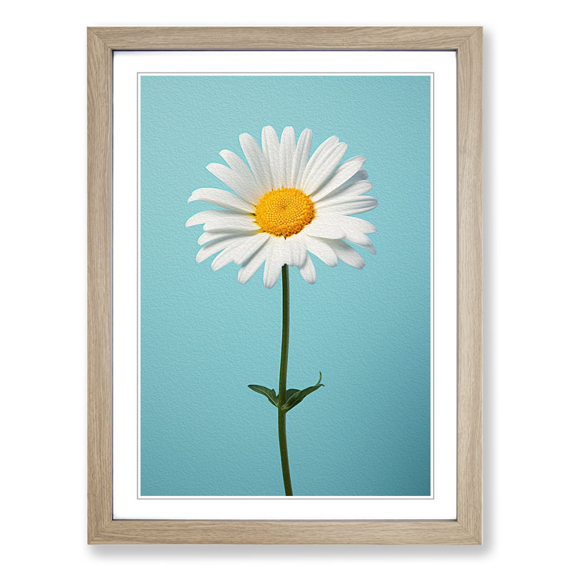 Single Picture Frame Print on Wood, 46cm H x 34cm W, Oak Framed