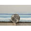 Tapis ivoire et bleu Apopka-1557041319