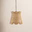 Luminaire suspendu cloche 1 lumière Nata Finnian-88990818
