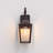 Amla 15.79" H 1-Light Metal Dusk to Dawn Outdoor Wall Light-1607641009