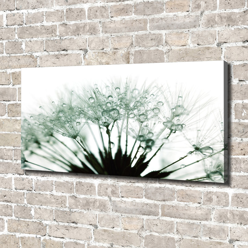 Dandelion Seeds - Wrapped Canvas Print