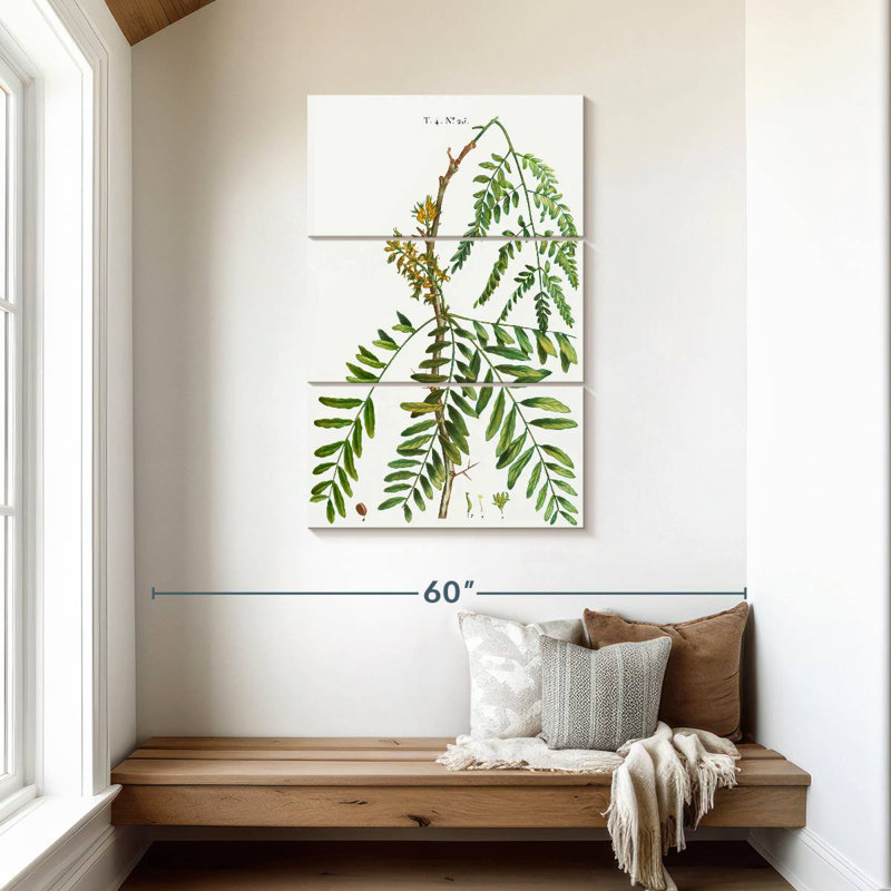 Harnek miel acridien Gleditsia Triacanthos, H 45 po x l 28 po