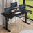 Modernchamp 63'' Dual Motor Height Adjustable Standing Desk With Laminate-91148511