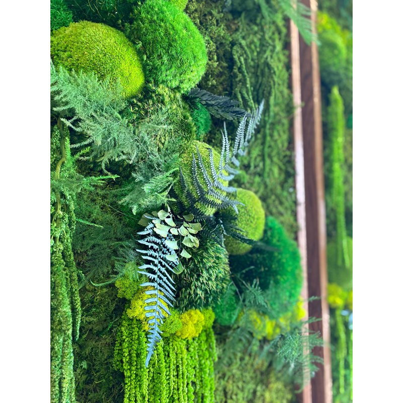 Art mural Symbiotikwalls Moss. Mur de mousse. Moss Art Panels. Art mural vert , H 36 po x l 18 po x P 2 po