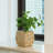 Mckenna Pot Planter-1201588324
