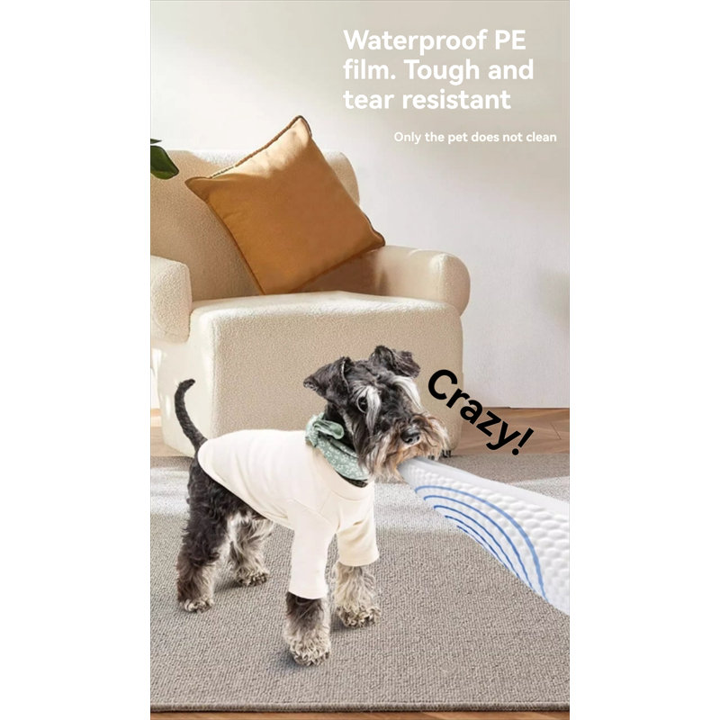 Coussin pour chien (ensemble de 30)