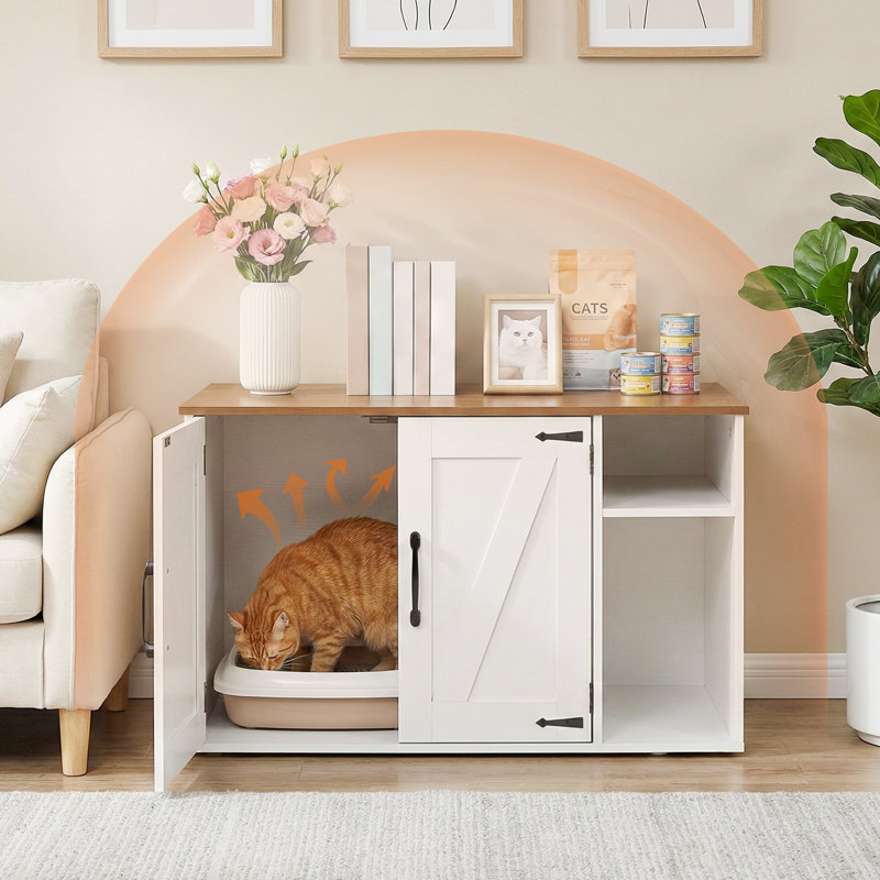 Litière pour chat, chat caché