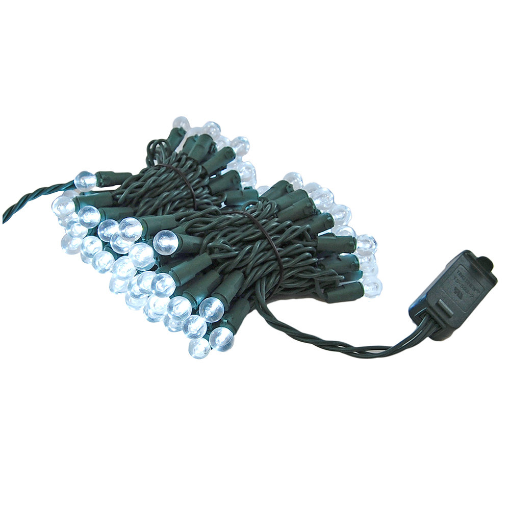 Pham Globe Electric String Lights The Holiday Aisle® Bulb 