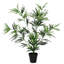 Plant-129932158-129932161