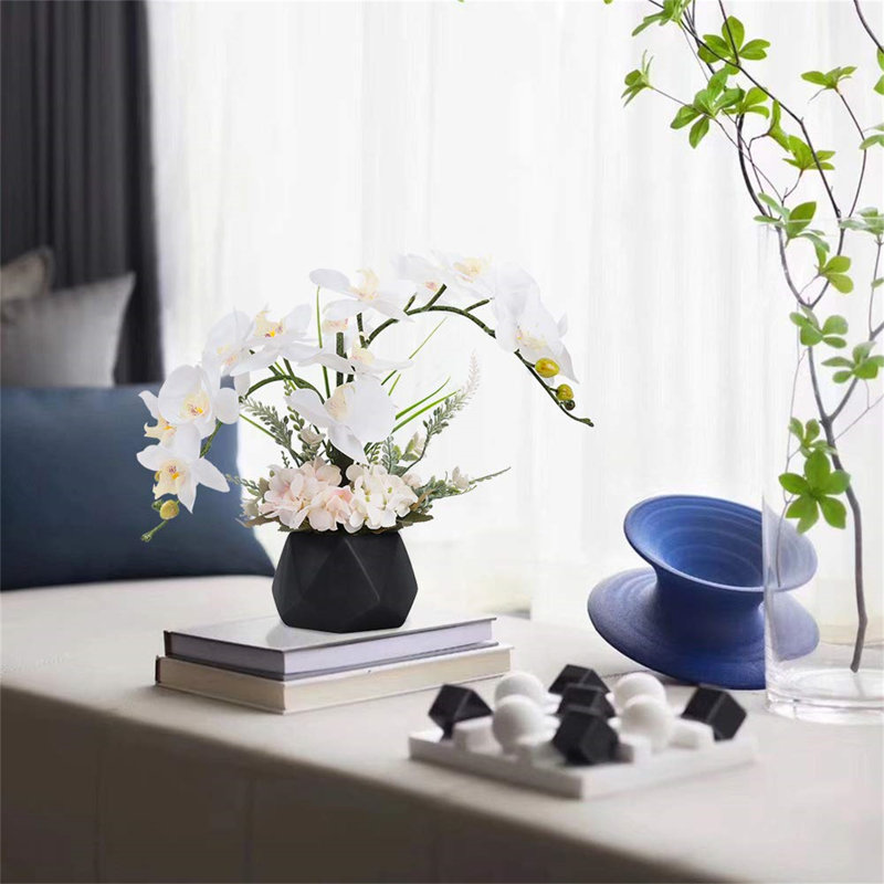 Roudy Arrangement, Black
