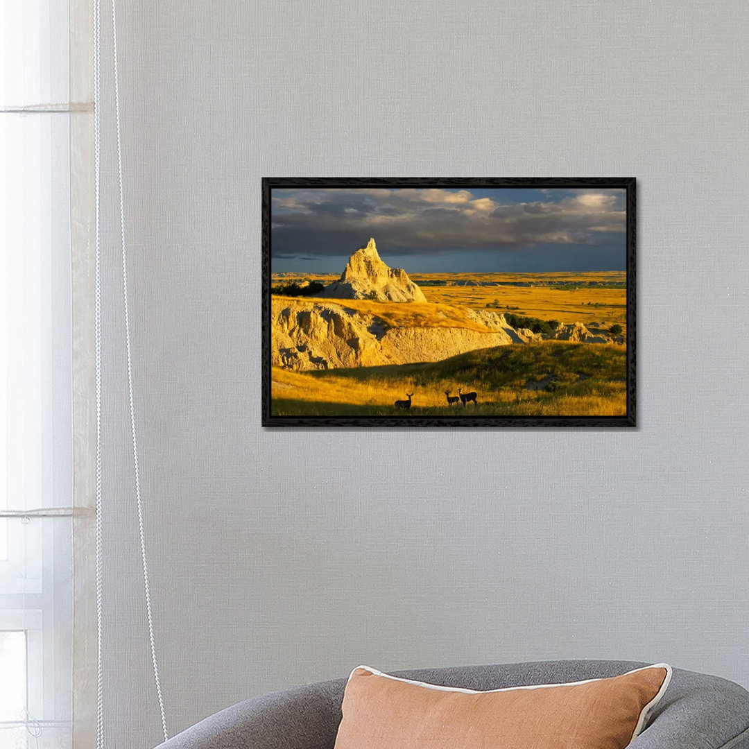 Mule Deer Trio In The Grasslands Of Badlands National Park, South Dakota von Tim Fitzharris - Gallery-Wrapped Canvas Gic...