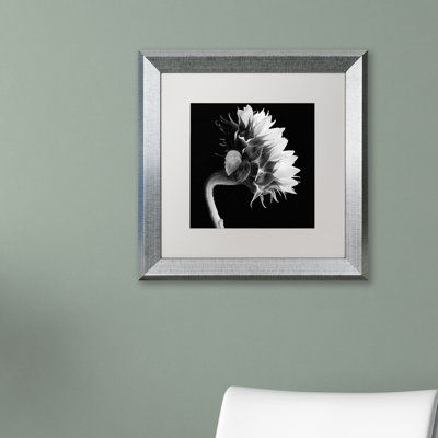 « tournesol », reproduction de photo sur toile encadrée