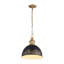 Luminaire suspendu 1 lumière Regena-106853597